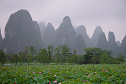 钟山网站建设