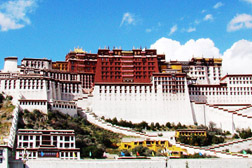 西藏网站建设