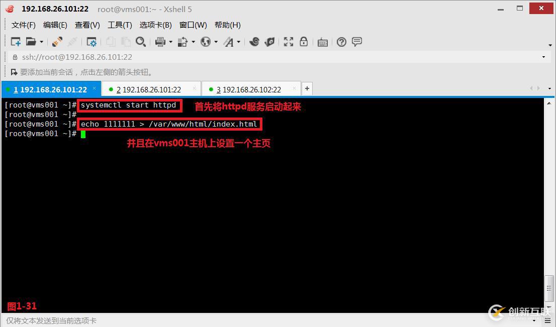 HTML实现RadioButton单选按钮的方法