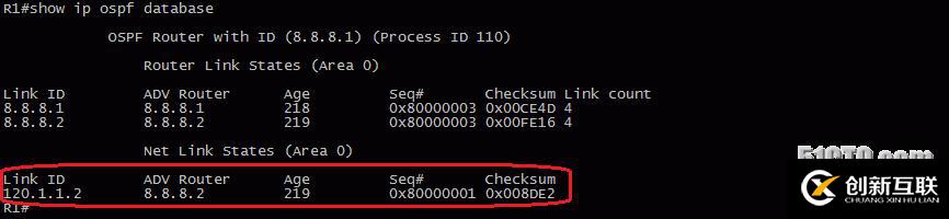 13、OSPF配置实验之LSA2