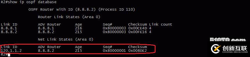 13、OSPF配置实验之LSA2
