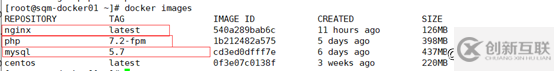 docker如何部署LNMP&phpMyAdmin