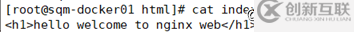docker如何部署LNMP&phpMyAdmin