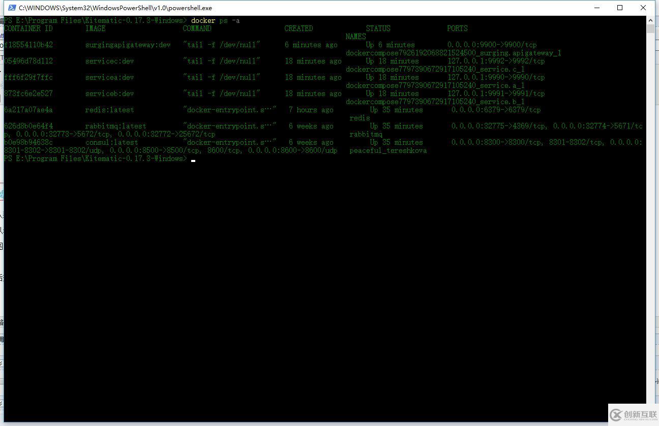 .netcore如何使用surging框架发布到docker