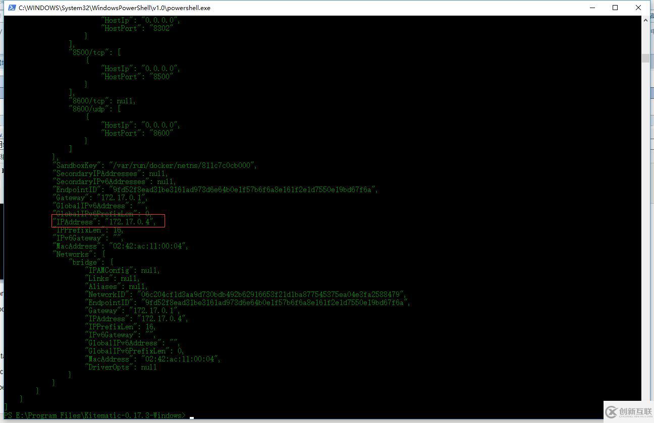 .netcore如何使用surging框架发布到docker