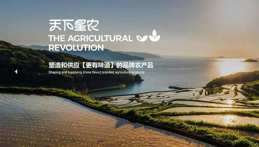 网站建设 网站建设