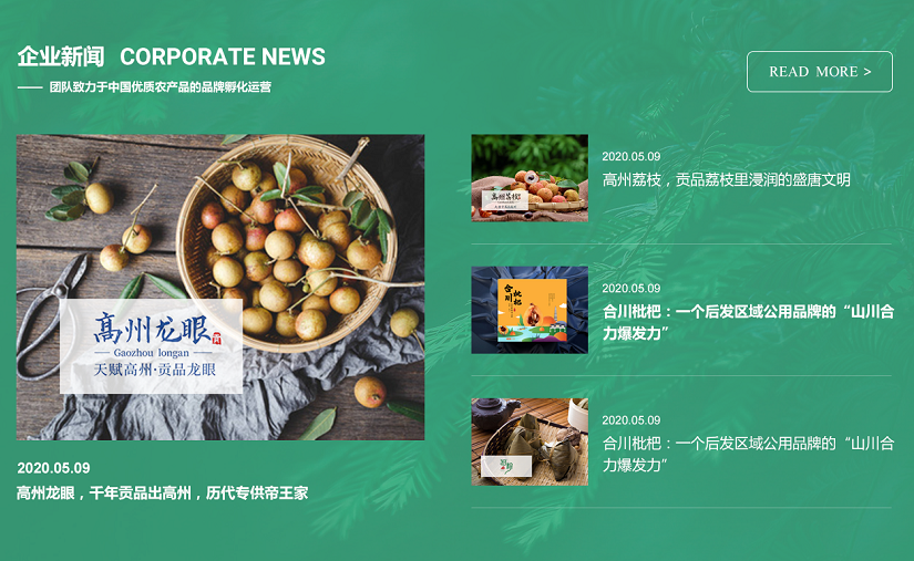 网站建设 网站建设