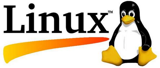 Linux服务器托管netcat命令的使用技巧